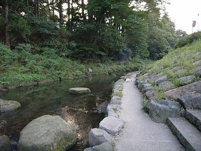 谷津田川せせらぎ1