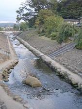 谷津田川せせらぎ2