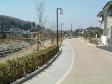 谷津田川せせらぎ3