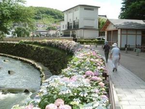 谷津田川せせらぎ5