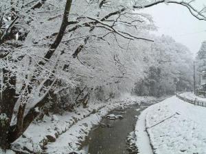 谷津田川せせらぎ8