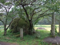夫婦岩