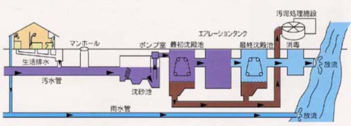 排水図