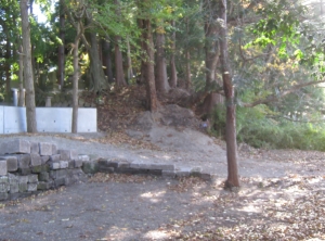 関川寺館跡