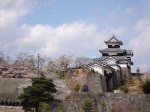 白河桜まつり（小峰城全景）