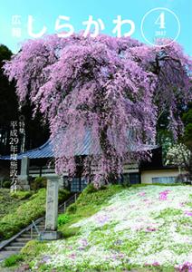 広報しらかわ4月1日号表紙