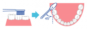 歯みがき方