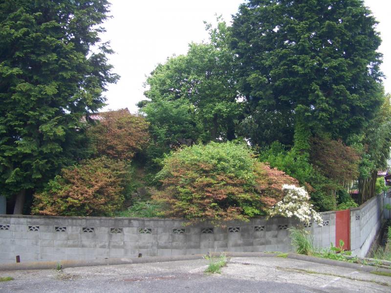 Earthwork Fortification along the Outer Moat of Komine Castle and Hayashi Family Residence