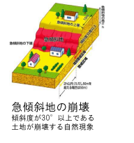 サンプル画像