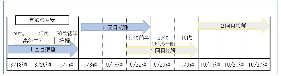 スケジュール