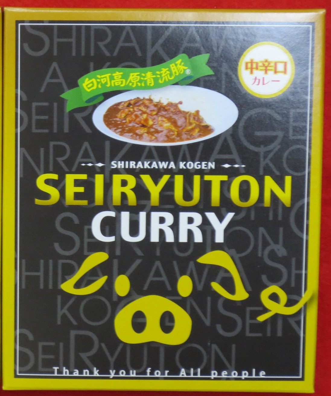 カレー中辛口