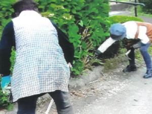 第一枇杷山2