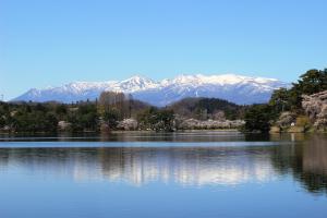 南湖公園　春