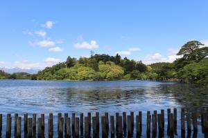 南湖公園　夏