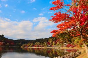 南湖公園　秋