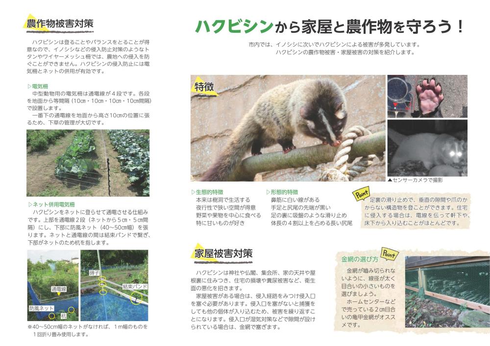 ハクhp用画像