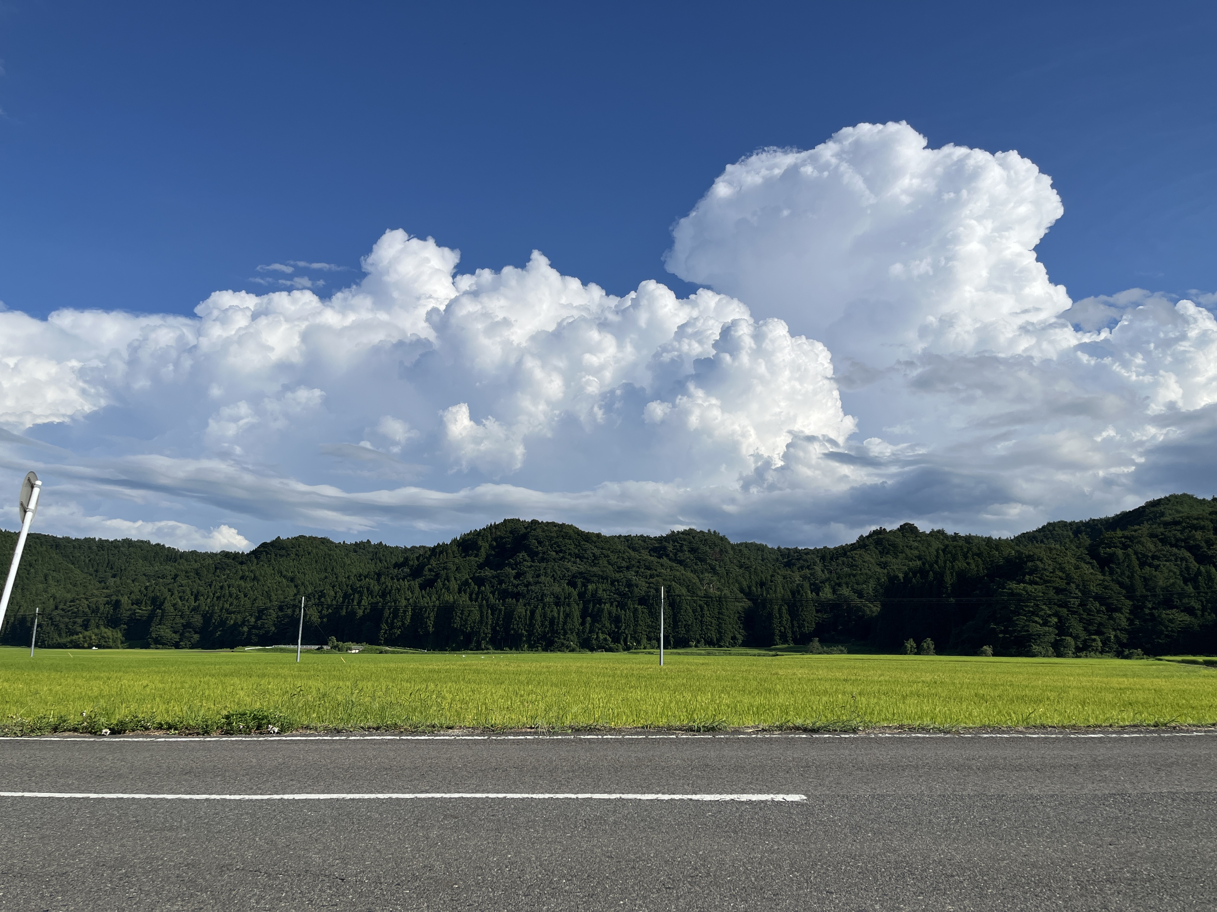 大信目の前の風景 画質上