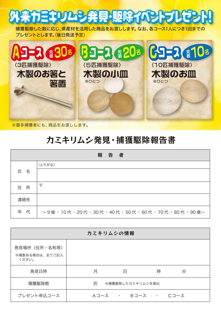 カミキリチラシ裏面