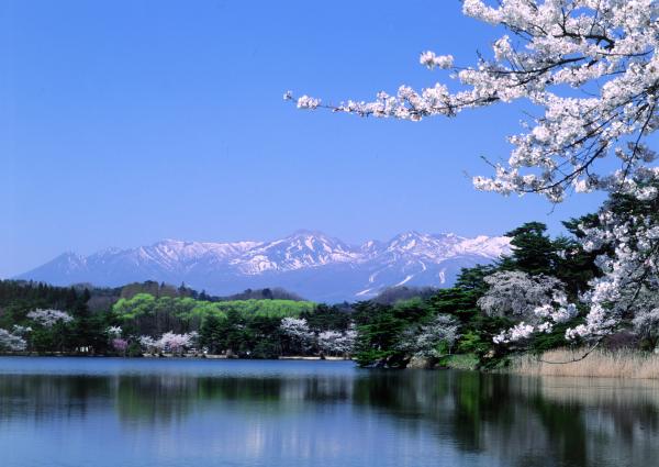 ホームページ用小峰城