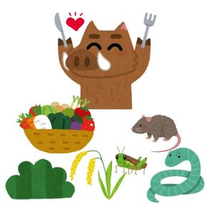 なんでも食べる