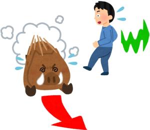 イノシシから逃げる