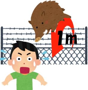 柵を超えるイノシシ