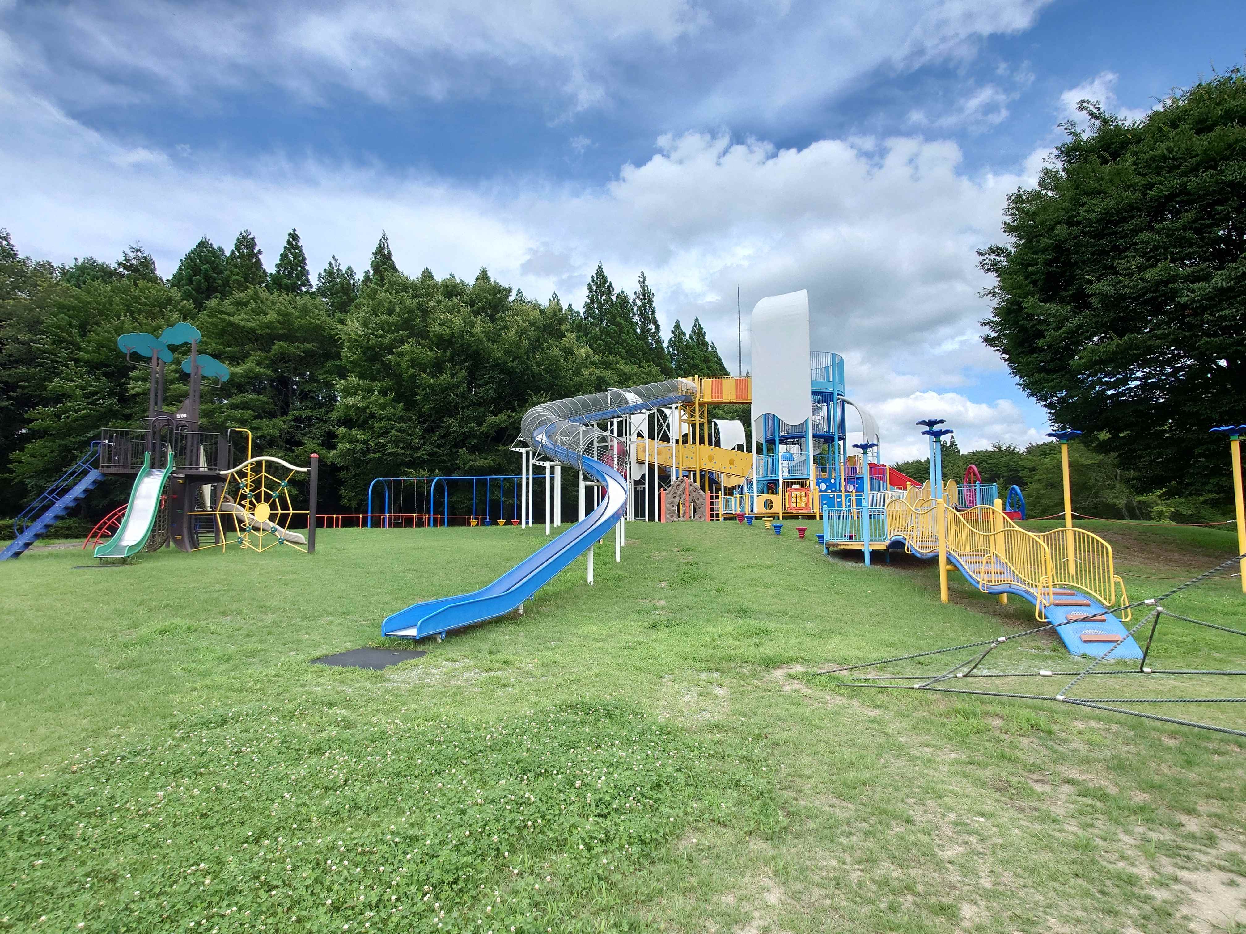 鶴子山公園_大空を舞い踊る鶴2