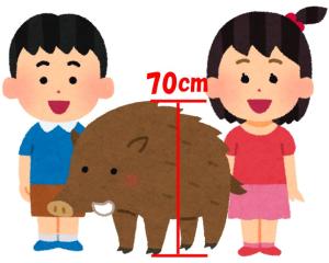 サンプル画像3