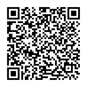 白河申請書電子申請QR