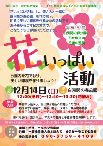 R7.12.08-R7.12.14_花いっぱい活動