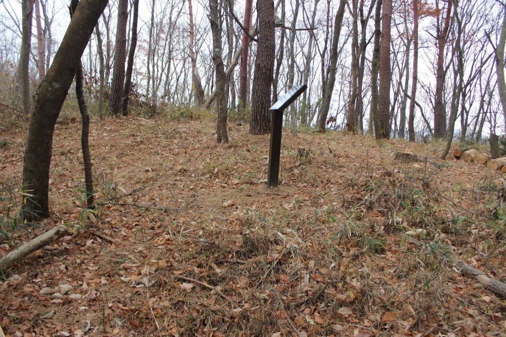 天王山写真1(軽量)