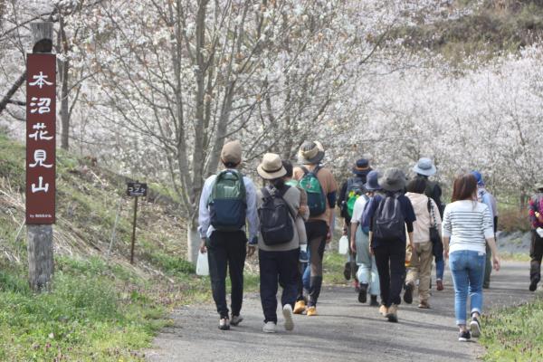 本沼花見山2