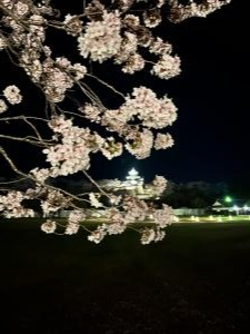 小峰城ライトアップ