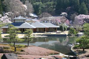 呈茶を楽しむ(1)