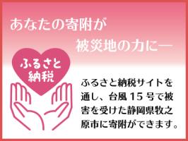 ふるさと納税